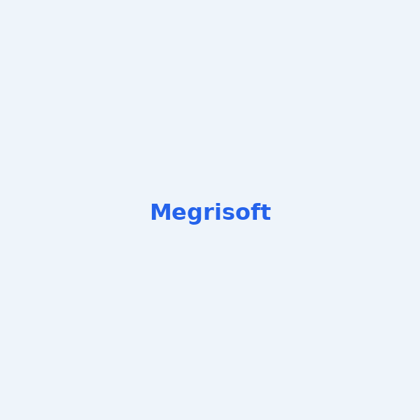 Megrisoft — global digital marketing since 1998